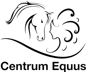 Medicijnvrouw voor de paarden healing Centrum Equus